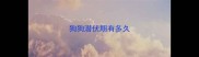 狗狗潜伏期有多久