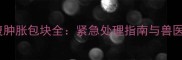 犬下腹肿胀包块全紧急处理指南与兽医建议
