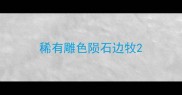 稀有雕色陨石边牧