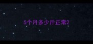 5个月多少斤正常