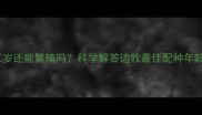 边境牧羊犬三岁还能繁殖吗科学解答边牧最佳配种年龄与健康指南