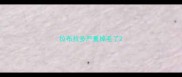 拉布拉多严重掉毛了