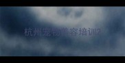 杭州宠物美容培训