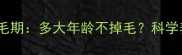 金毛犬换毛期多大年龄不掉毛科学养护指南