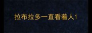 拉布拉多一直看着人