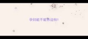 孕妇能不能养边牧