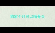 狗家个月可以啃骨头