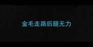 金毛走路后腿无力