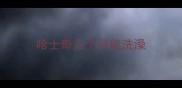 哈士奇几个月能洗澡