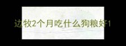 边牧2个月吃什么狗粮好
