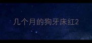 几个月的狗牙床红