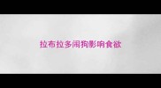 拉布拉多闹狗影响食欲