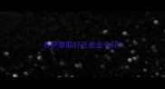 养萨摩耶好还是金毛好