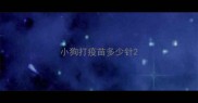 小狗打疫苗多少针