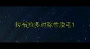 拉布拉多对称性脱毛