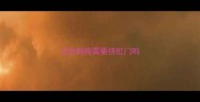 边牧狗狗需要挤肛门吗