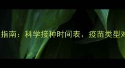 小狗疫苗全流程指南科学接种时间表疫苗类型对比及常见问题