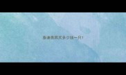 泰迪贵宾犬多少钱一只