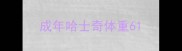 成年哈士奇体重6