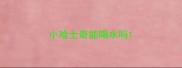 小哈士奇能喝水吗