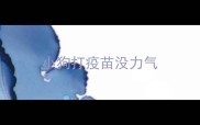 小狗打疫苗没力气