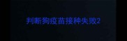 判断狗疫苗接种失败