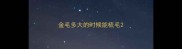 金毛多大的时候能梳毛