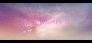 金毛幼犬能吃肉吗