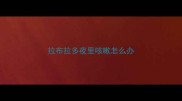 拉布拉多夜里咳嗽怎么办
