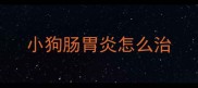 小狗肠胃炎怎么治