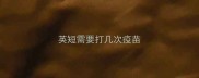 英短需要打几次疫苗