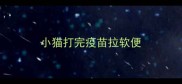 小猫打完疫苗拉软便