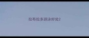 拉布拉多游泳好处