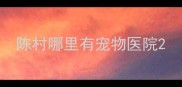 陈村哪里有宠物医院