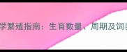 泰迪犬科学繁殖指南生育数量周期及饲养全攻略