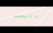 哈士奇柴犬哪个火