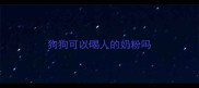 狗狗可以喝人的奶粉吗