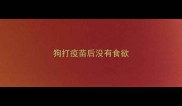 狗打疫苗后没有食欲