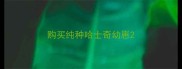购买纯种哈士奇幼崽