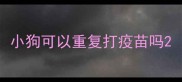 小狗可以重复打疫苗吗
