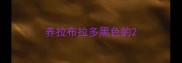 养拉布拉多黑色的