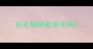 长毛猫咪能剪毛吗