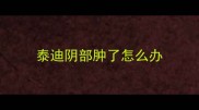 泰迪阴部肿了怎么办