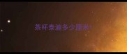 茶杯泰迪多少厘米