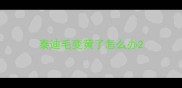 泰迪毛变黄了怎么办