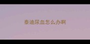 泰迪尿血怎么办啊