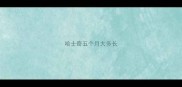 哈士奇五个月大多长
