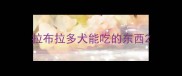 拉布拉多犬能吃的东西