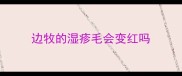 边牧的湿疹毛会变红吗