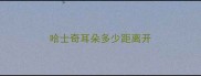 哈士奇耳朵多少距离开